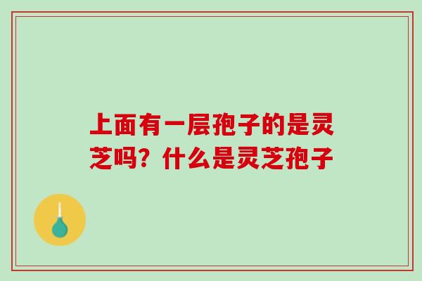 上面有一层孢子的是灵芝吗？什么是灵芝孢子