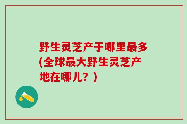 野生灵芝产于哪里多(全球大野生灵芝产地在哪儿？)