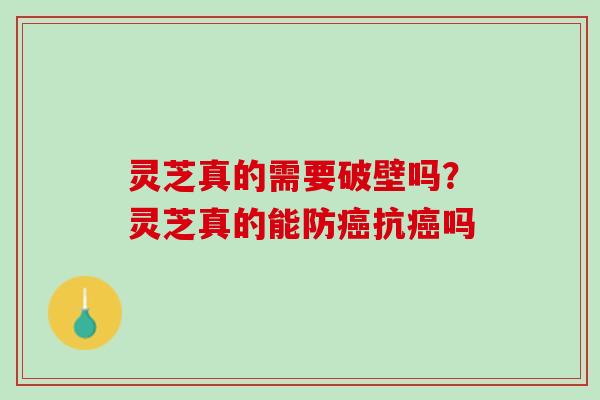 灵芝真的需要破壁吗？灵芝真的能防癌抗癌吗
