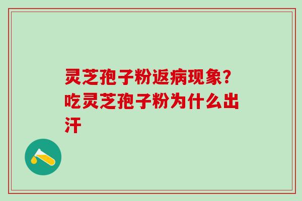 灵芝孢子粉返病现象？吃灵芝孢子粉为什么出汗