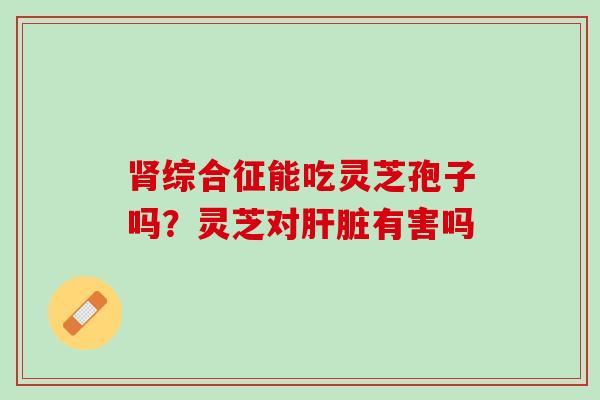 肾综合征能吃灵芝孢子吗？灵芝对肝脏有害吗
