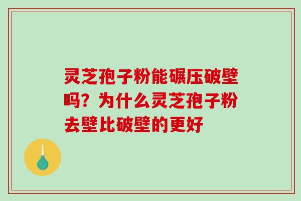 灵芝孢子粉能碾压破壁吗?为什么灵芝孢子粉去壁比破壁的更好 灵芝孢子粉能碾压破壁吗?为什么灵芝孢子粉去壁比破壁的更好