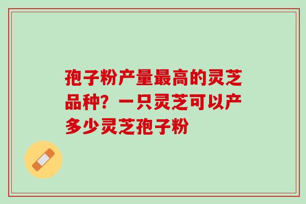 孢子粉产量最高的灵芝品种？一只灵芝可以产多少灵芝孢子粉