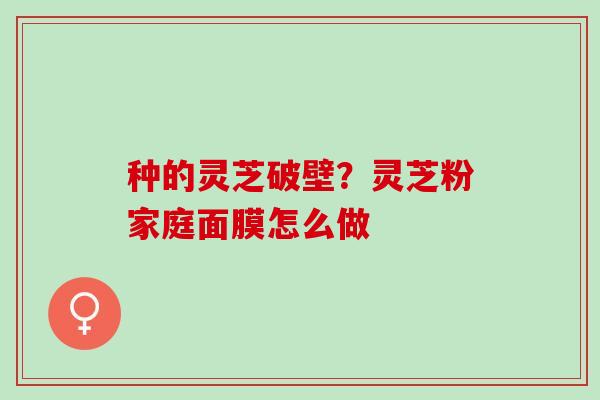 种的灵芝破壁？灵芝粉家庭面膜怎么做