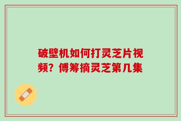 破壁机如何打灵芝片视频？傅筹摘灵芝第几集