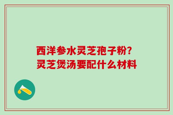 西洋参水灵芝孢子粉？灵芝煲汤要配什么材料
