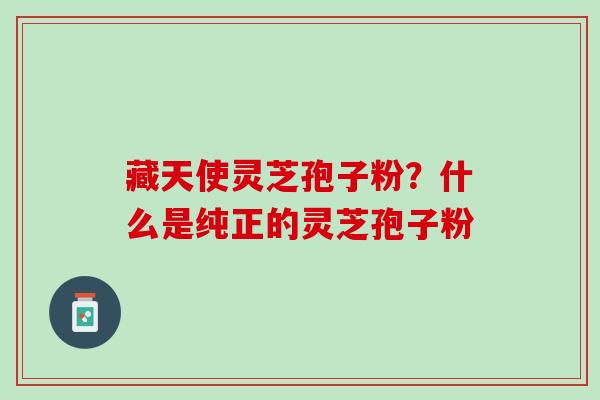 藏天使灵芝孢子粉？什么是纯正的灵芝孢子粉