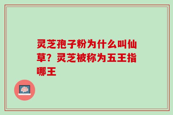 灵芝孢子粉为什么叫仙草？灵芝被称为五王指哪王