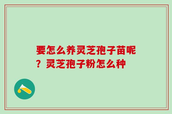 要怎么养灵芝孢子苗呢？灵芝孢子粉怎么种