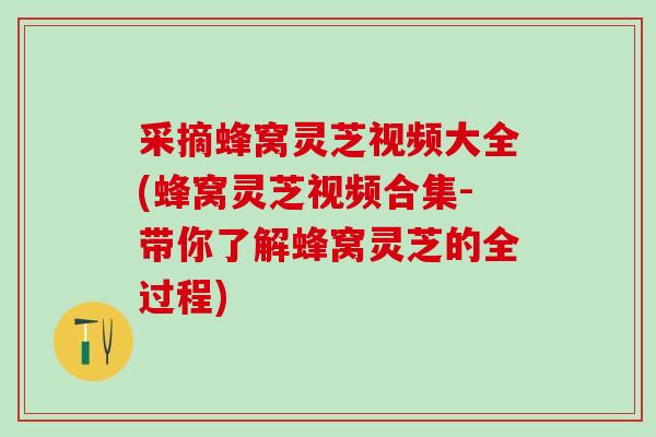 采摘蜂窝灵芝视频大全(蜂窝灵芝视频合集-带你了解蜂窝灵芝的全过程)
