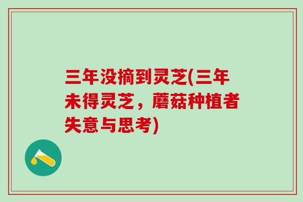 三年没摘到灵芝(三年未得灵芝，蘑菇种植者失意与思考)