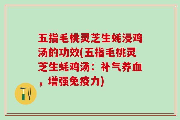 五指毛桃灵芝生蚝浸鸡汤的功效(五指毛桃灵芝生蚝鸡汤：补气养血，增强免疫力)