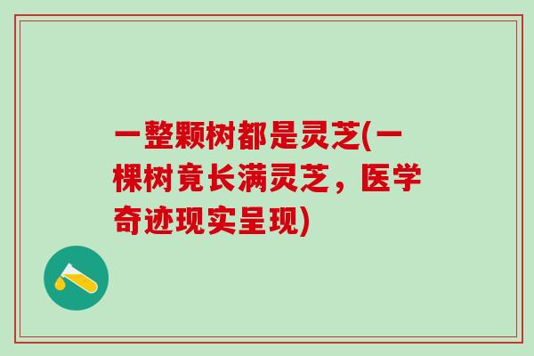 一整颗树都是灵芝(一棵树竟长满灵芝，医学奇迹现实呈现)