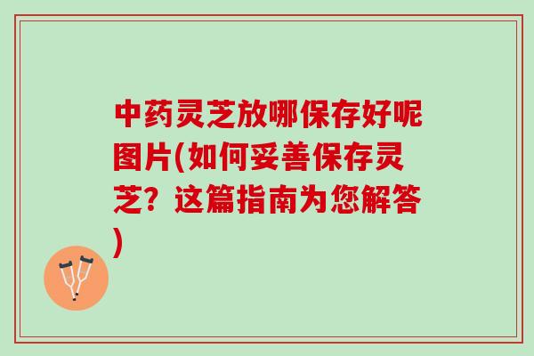 中药灵芝放哪保存好呢图片(如何妥善保存灵芝？这篇指南为您解答)