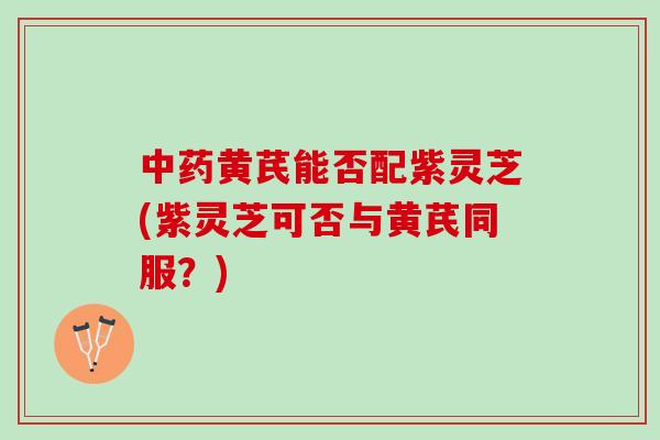 中药黄芪能否配紫灵芝(紫灵芝可否与黄芪同服？)