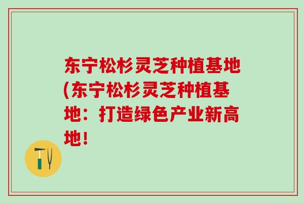 东宁松杉灵芝种植基地(东宁松杉灵芝种植基地：打造绿色产业新高地！