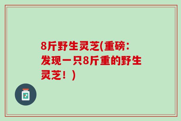 8斤野生灵芝(重磅：发现一只8斤重的野生灵芝！)
