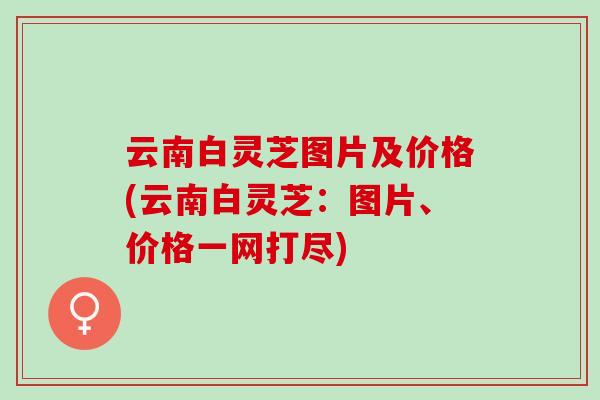 云南白灵芝图片及价格(云南白灵芝:图片、价格一网打尽) 云南白灵芝图片及价格(云南白灵芝:图片、价格一网打尽)