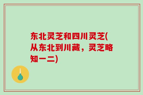 东北灵芝和四川灵芝(从东北到川藏,灵芝略知一二) 东北灵芝和四川灵芝(从东北到川藏,灵芝略知一二)