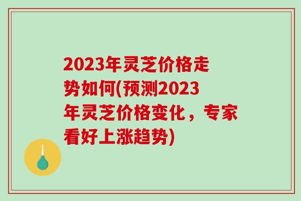 2023年灵芝价格走势如何(预测2023年灵芝价格变化，专家看好上涨趋势)