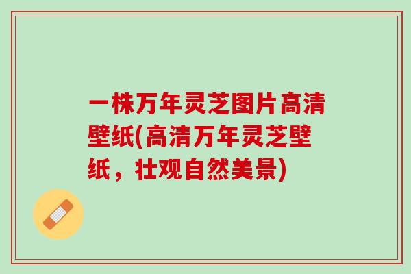 一株万年灵芝图片高清壁纸(高清万年灵芝壁纸,壮观自然美景) 一株万年灵芝图片高清壁纸(高清万年灵芝壁纸,壮观自然美景)