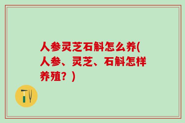 人参灵芝石斛怎么养(人参、灵芝、石斛怎样养殖？)