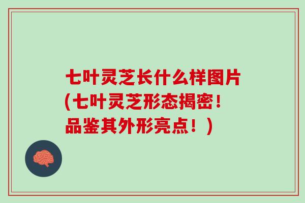 七叶灵芝长什么样图片(七叶灵芝形态揭密!品鉴其外形亮点!) 七叶灵芝长什么样图片(七叶灵芝形态揭密!品鉴其外形亮点!)