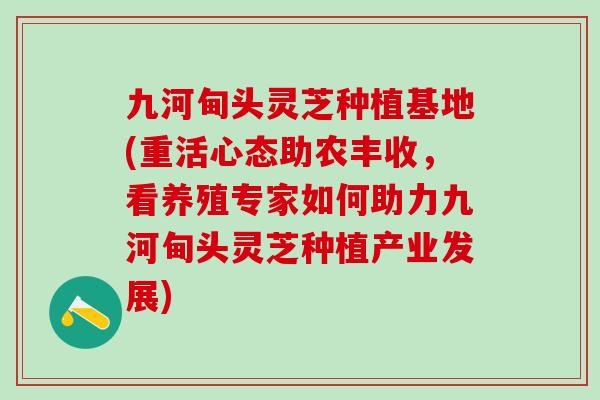 九河甸头灵芝种植基地(重活心态助农丰收，看养殖专家如何助力九河甸头灵芝种植产业发展)