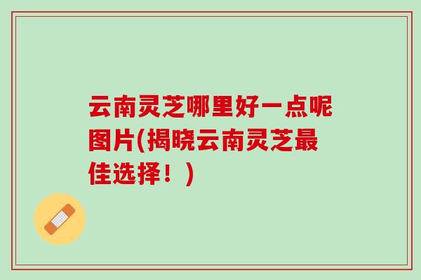云南灵芝哪里好一点呢图片(揭晓云南灵芝最佳选择！)