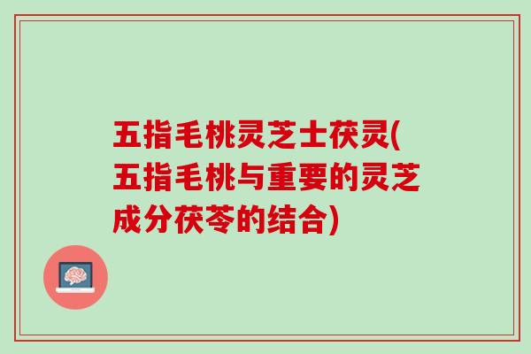 五指毛桃灵芝士茯灵(五指毛桃与重要的灵芝成分茯苓的结合) 五指毛桃灵芝士茯灵(五指毛桃与重要的灵芝成分茯苓的结合)