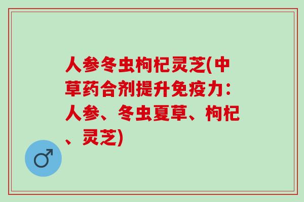 人参冬虫枸杞灵芝(中草药合剂提升免疫力：人参、冬虫夏草、枸杞、灵芝)