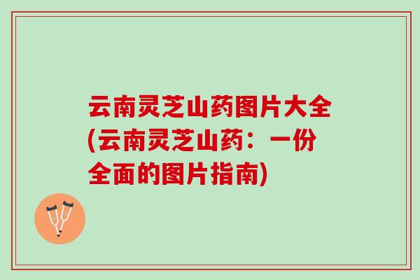 云南灵芝山药图片大全(云南灵芝山药:一份全面的图片指南) 云南灵芝山药图片大全(云南灵芝山药:一份全面的图片指南)