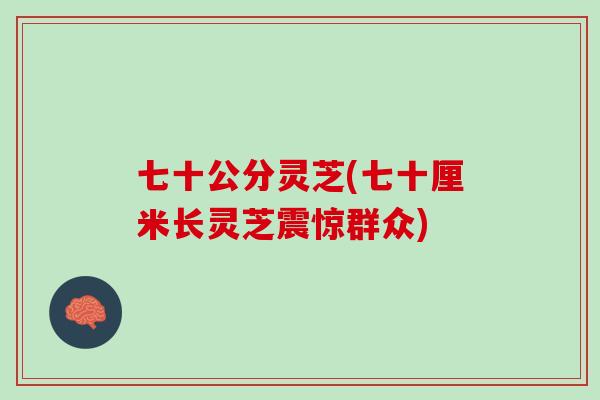 七十公分灵芝(七十厘米长灵芝震惊群众)
