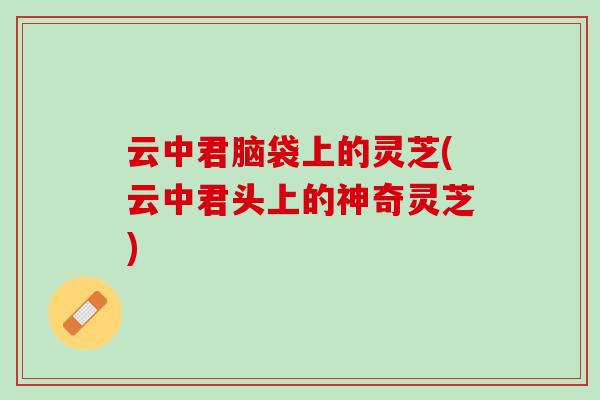 云中君脑袋上的灵芝(云中君头上的神奇灵芝)
