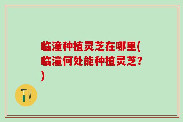 临潼种植灵芝在哪里(临潼何处能种植灵芝？)