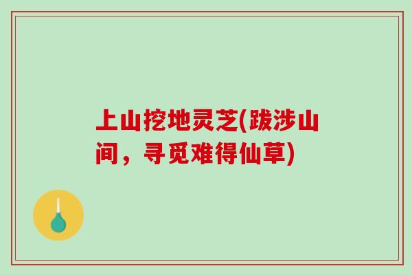 上山挖地灵芝(跋涉山间，寻觅难得仙草)