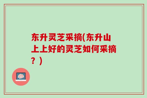 东升灵芝采摘(东升山上上好的灵芝如何采摘？)