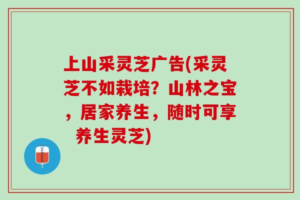 上山采灵芝广告(采灵芝不如栽培？山林之宝，居家养生，随时可享  养生灵芝)