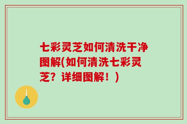 七彩灵芝如何清洗干净图解(如何清洗七彩灵芝？详细图解！)