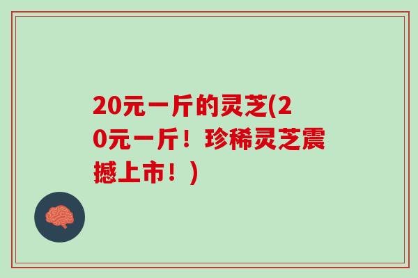 20元一斤的灵芝(20元一斤！珍稀灵芝震撼上市！)