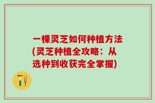 一棵灵芝如何种植方法(灵芝种植全攻略：从选种到收获完全掌握)