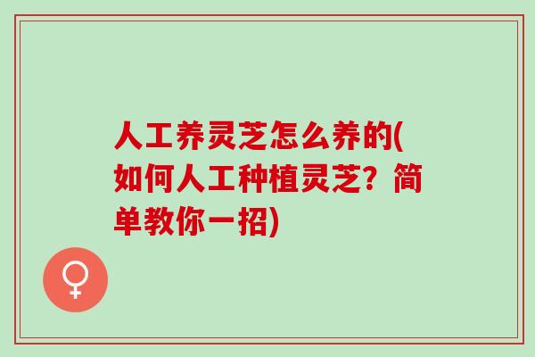 人工养灵芝怎么养的(如何人工种植灵芝？简单教你一招)