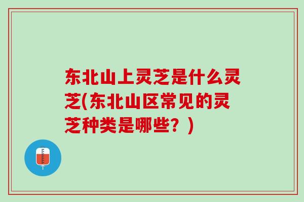 东北山上灵芝是什么灵芝(东北山区常见的灵芝种类是哪些？)