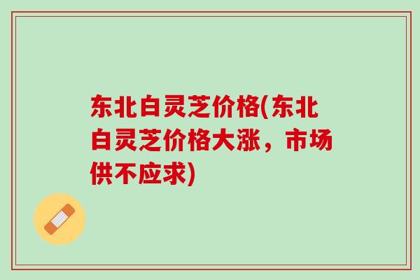 东北白灵芝价格(东北白灵芝价格大涨，市场供不应求)
