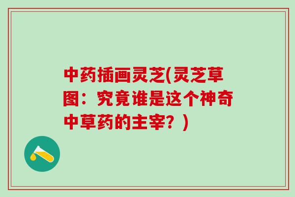 中药插画灵芝(灵芝草图：究竟谁是这个神奇中草药的主宰？)
