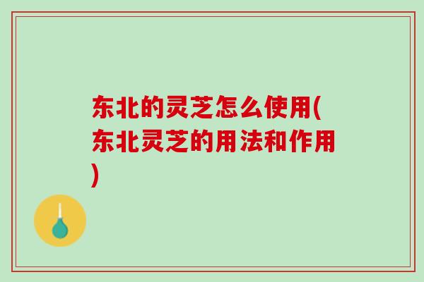 东北的灵芝怎么使用(东北灵芝的用法和作用)
