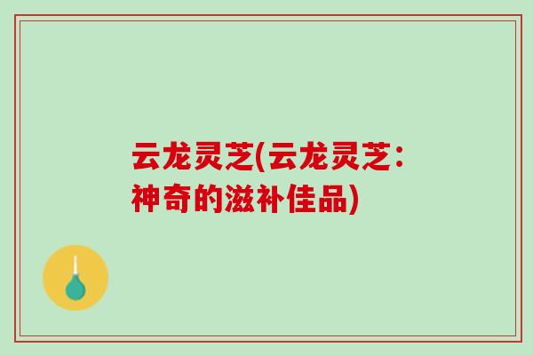 云龙灵芝(云龙灵芝：神奇的滋补佳品)