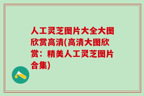 人工灵芝图片大全大图欣赏高清(高清大图欣赏：精美人工灵芝图片合集)