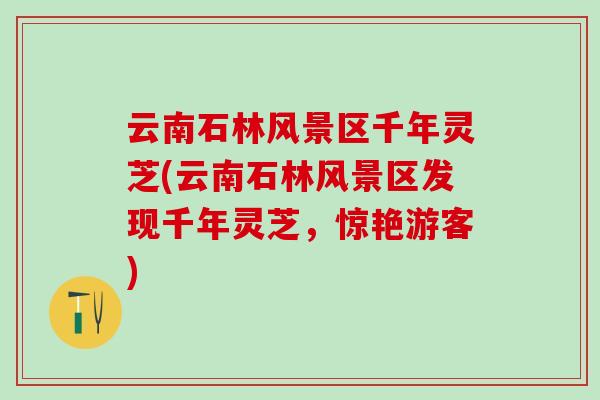 云南石林风景区千年灵芝(云南石林风景区发现千年灵芝，惊艳游客)