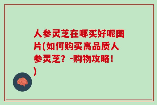 人参灵芝在哪买好呢图片(如何购买高品质人参灵芝？-购物攻略！)